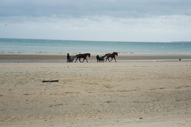 Two harness horses and carts on a wide, empty Normandy beach